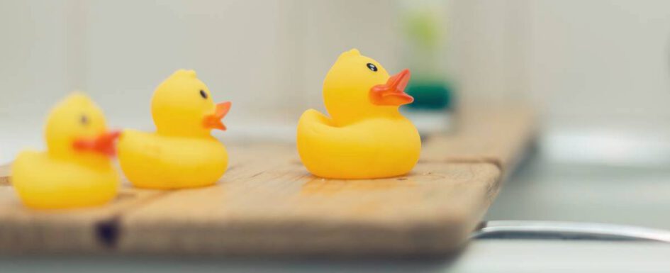 Enten auf einem Brett auf der Badewanne